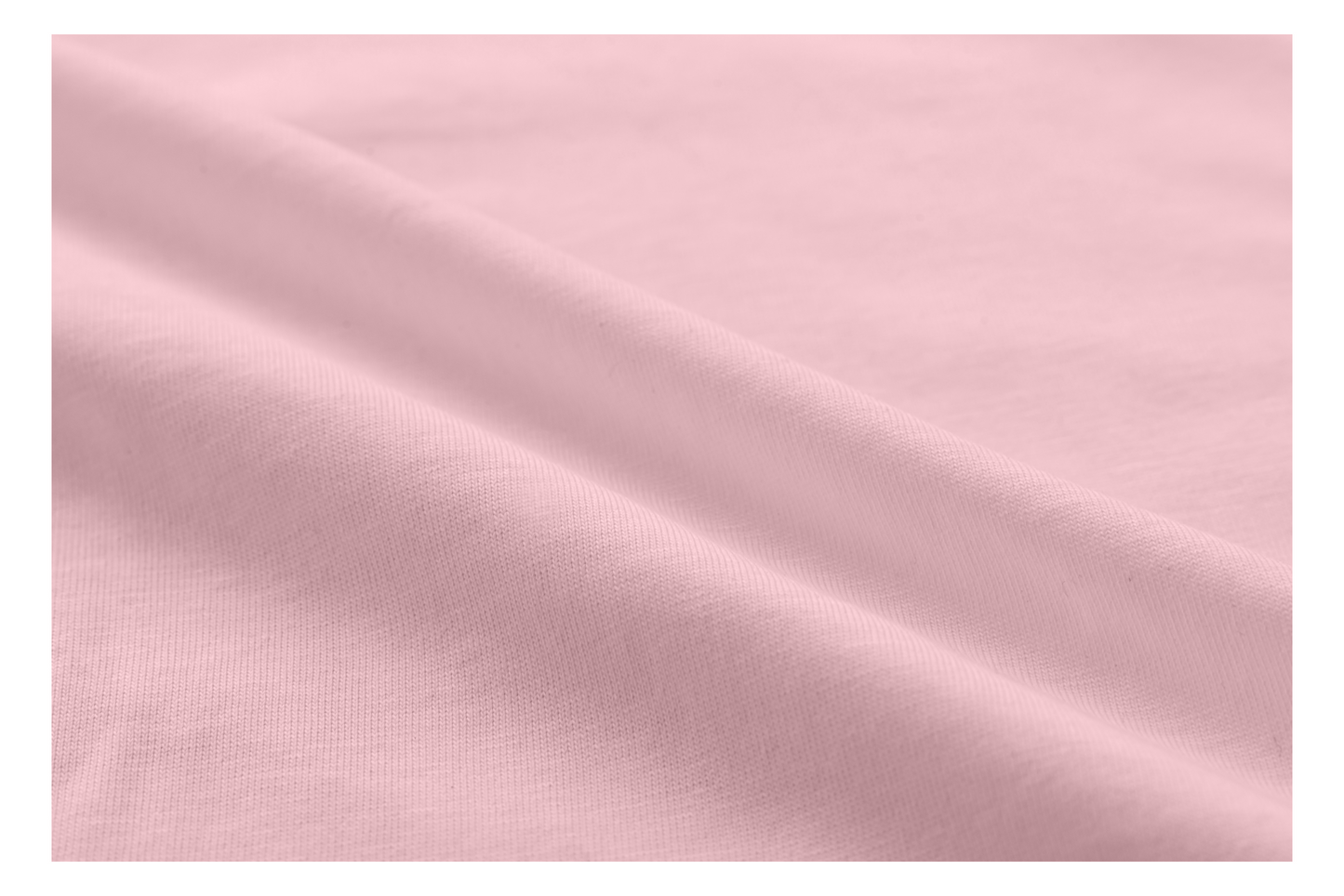 Cat Angel T Shirt